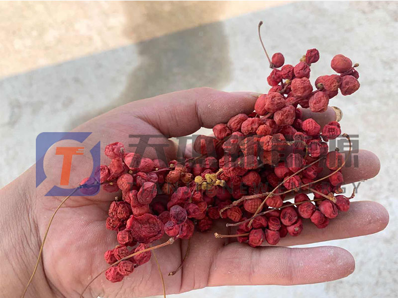 黑龍江五味子烘干機(jī)客戶(hù)現(xiàn)場(chǎng)成品預(yù)覽