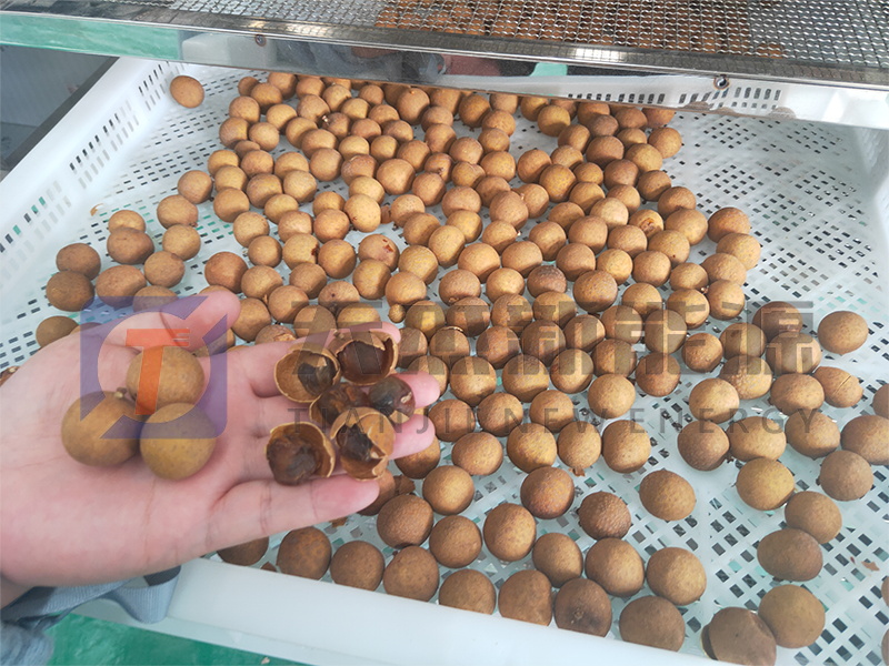 天杰新能源?；葜蔟堁酆娓蓹C(jī)開機(jī)大吉